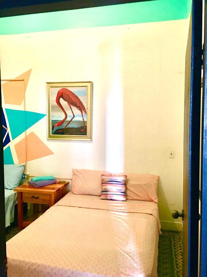 Medusa'S Hostel อกวาดิยา ภายนอก รูปภาพ